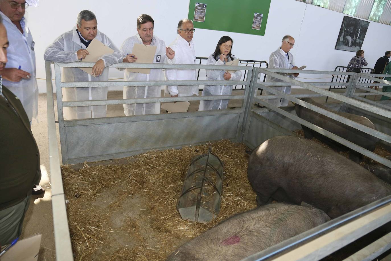 Fotos: Imágenes del primer día de la Feria Internacional Ganadera de Zafra