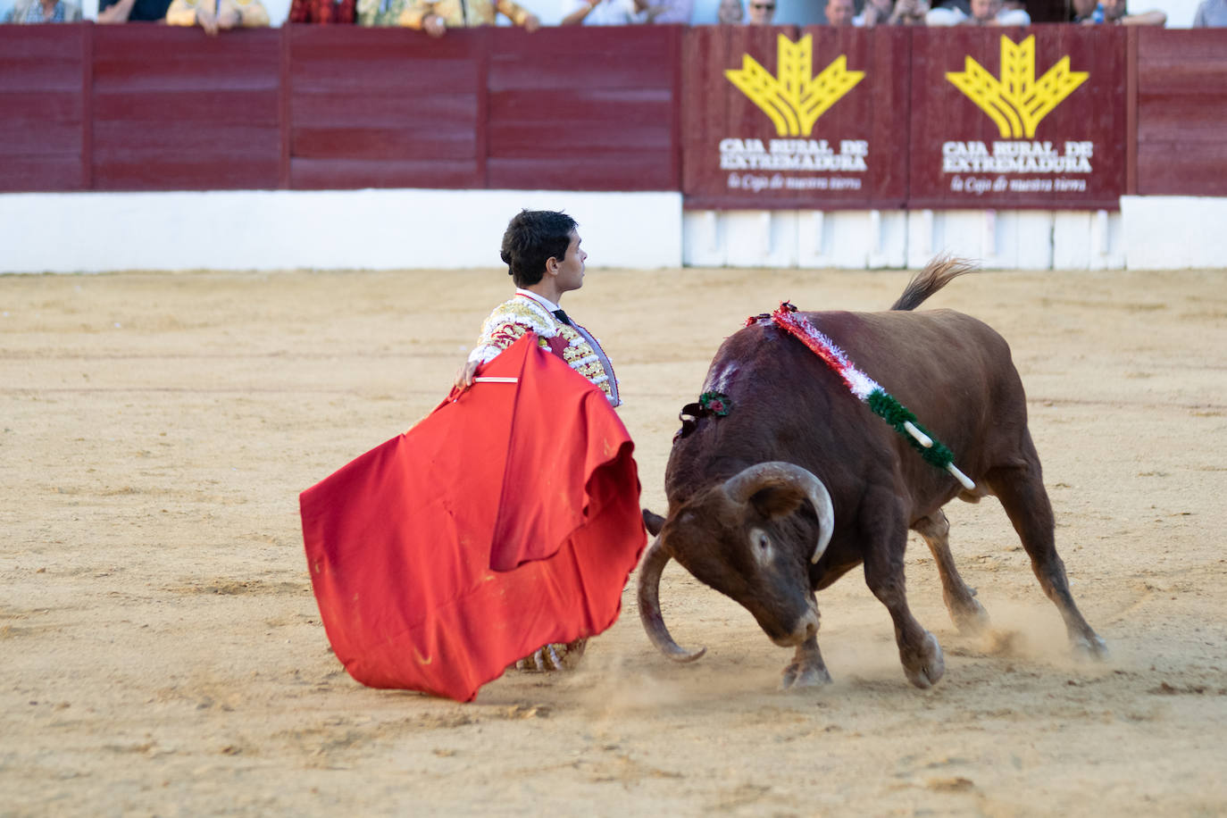 Tarde triunfal, la primera de las dos que componen la Feria taurina de Zafra, donde el público se divirtió con la actuación de los tres toreros y el buen juego en líneas generales de la corrida de Álvaro Núñez. 