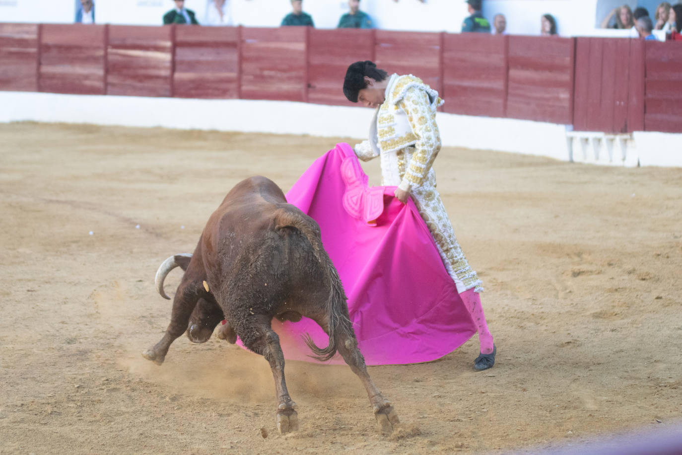 Tarde triunfal, la primera de las dos que componen la Feria taurina de Zafra, donde el público se divirtió con la actuación de los tres toreros y el buen juego en líneas generales de la corrida de Álvaro Núñez. 