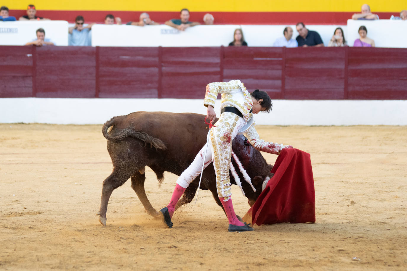 Tarde triunfal, la primera de las dos que componen la Feria taurina de Zafra, donde el público se divirtió con la actuación de los tres toreros y el buen juego en líneas generales de la corrida de Álvaro Núñez. 