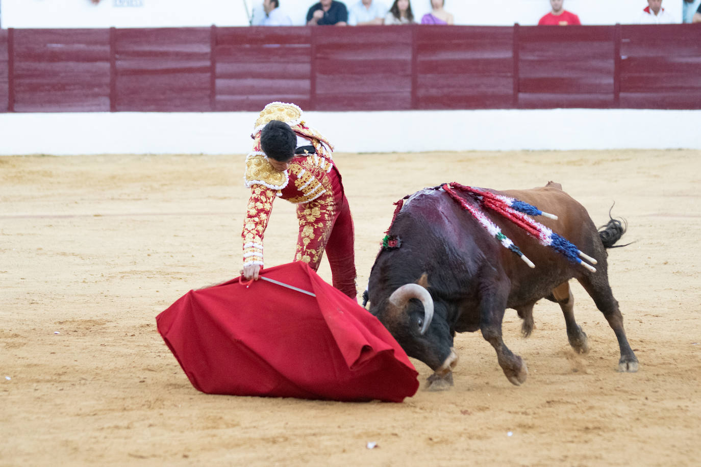 Tarde triunfal, la primera de las dos que componen la Feria taurina de Zafra, donde el público se divirtió con la actuación de los tres toreros y el buen juego en líneas generales de la corrida de Álvaro Núñez. 