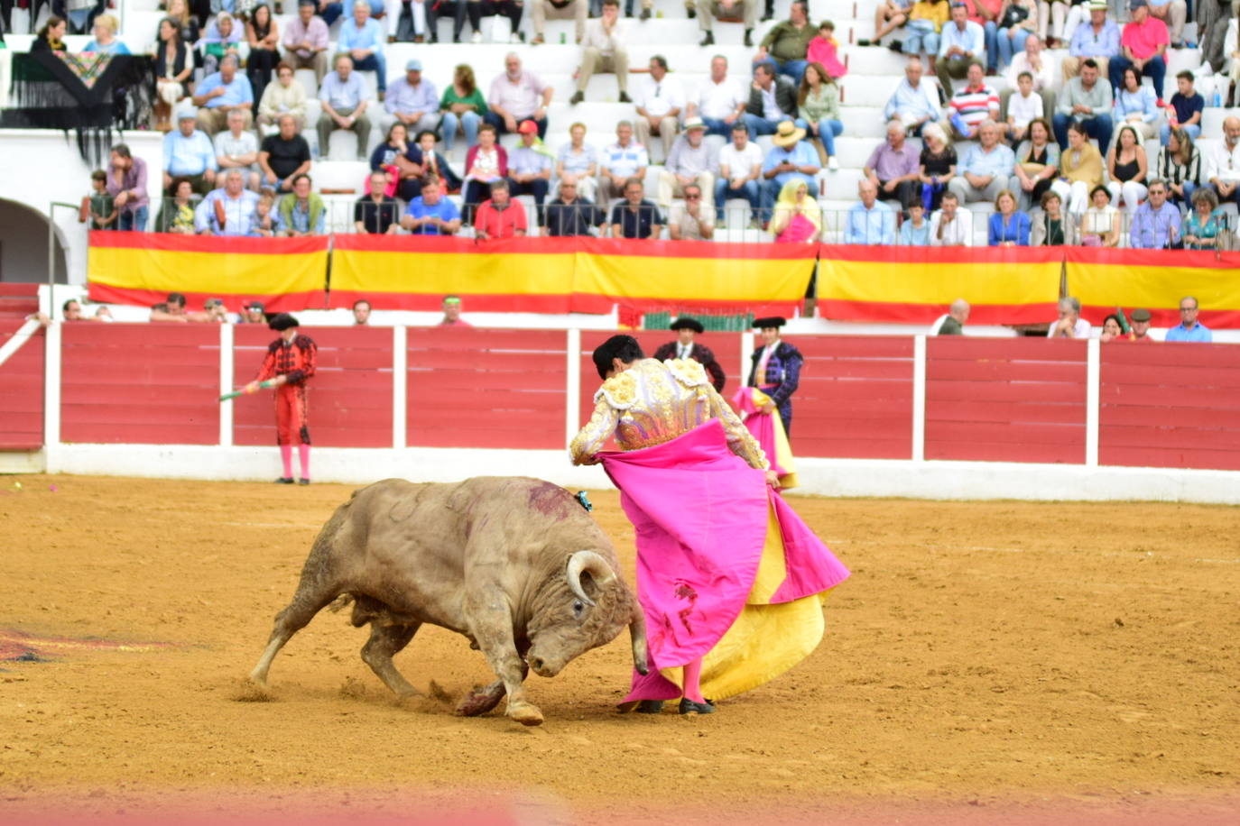 Fotos: Triunfo de Emilio de Justo en Fregenal de la Sierra