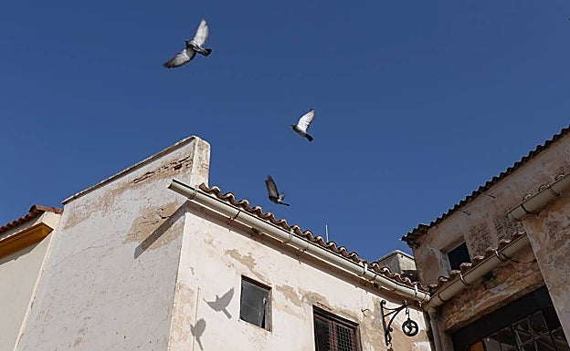 Tres palomas sobrevuelan esta casa en el centro de Talavera la Real.