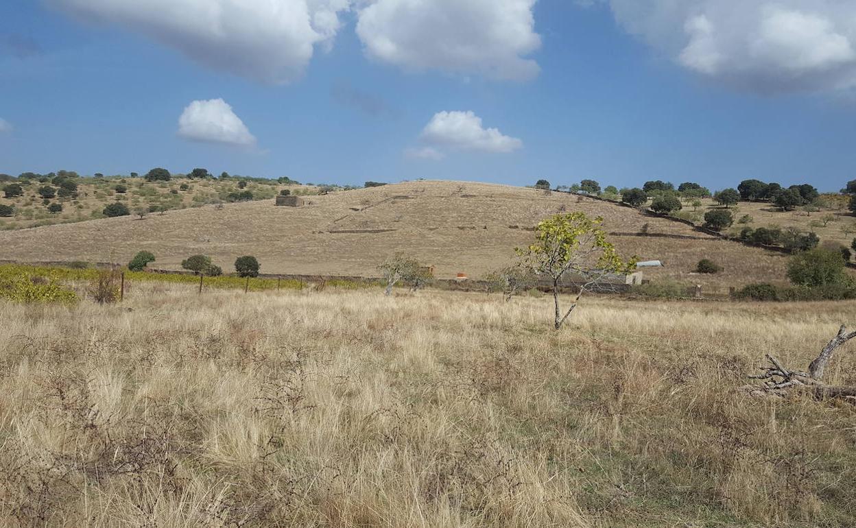 Terrenos en los que se ubicará la planta de residuos y el vertedero. 