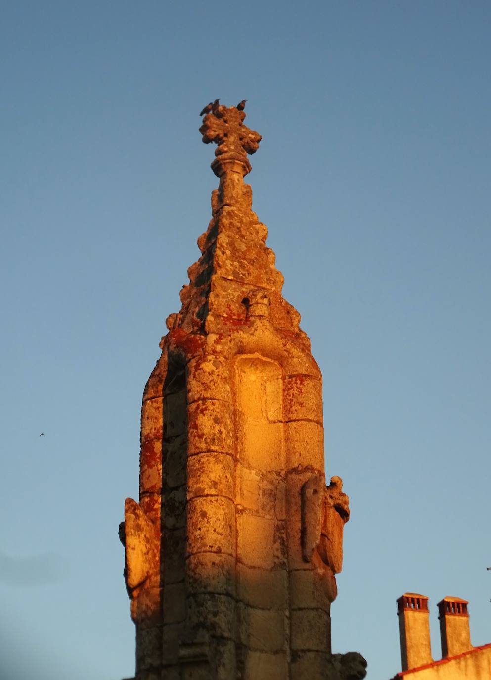 Fin de la tercera etapa del Camino a Guadalupe desde Cáceres. Llegada a Madroñera.