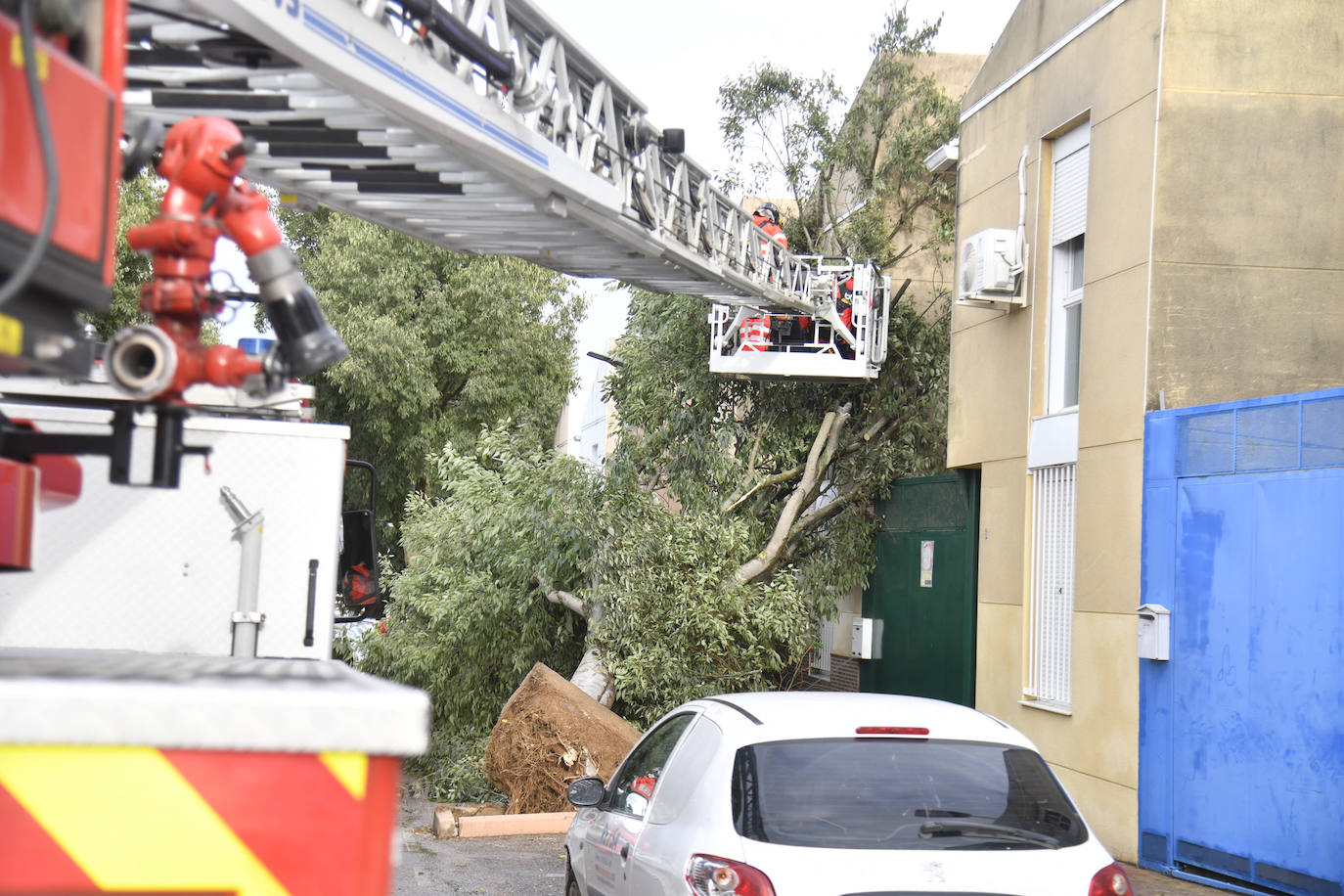 Fotos: La borrasca Béatrice causa desperfectos en Badajoz