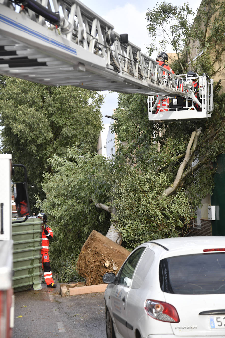 Fotos: La borrasca Béatrice causa desperfectos en Badajoz