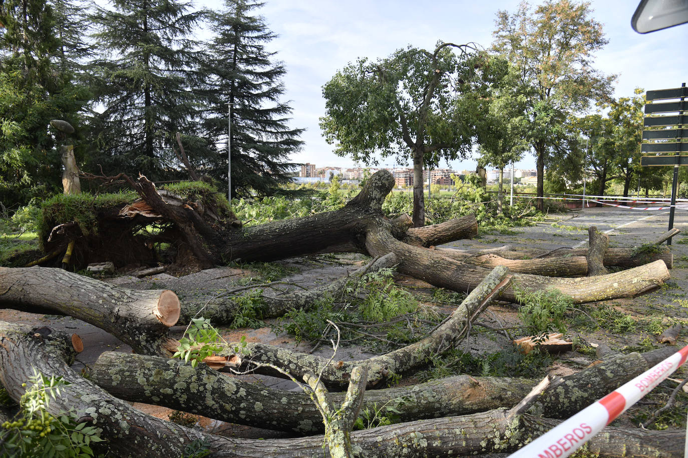 Fotos: La borrasca Béatrice causa desperfectos en Badajoz