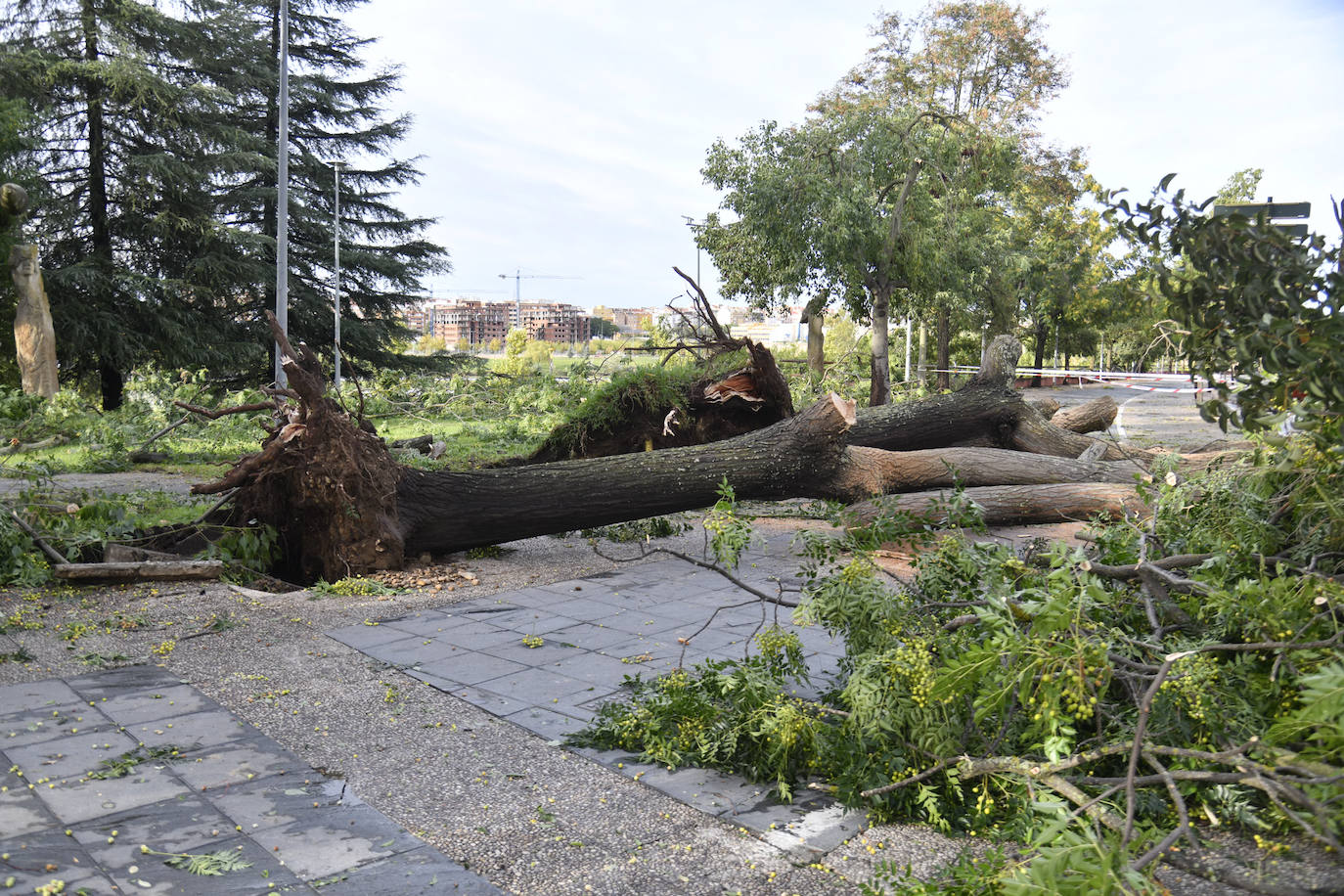 Fotos: La borrasca Béatrice causa desperfectos en Badajoz