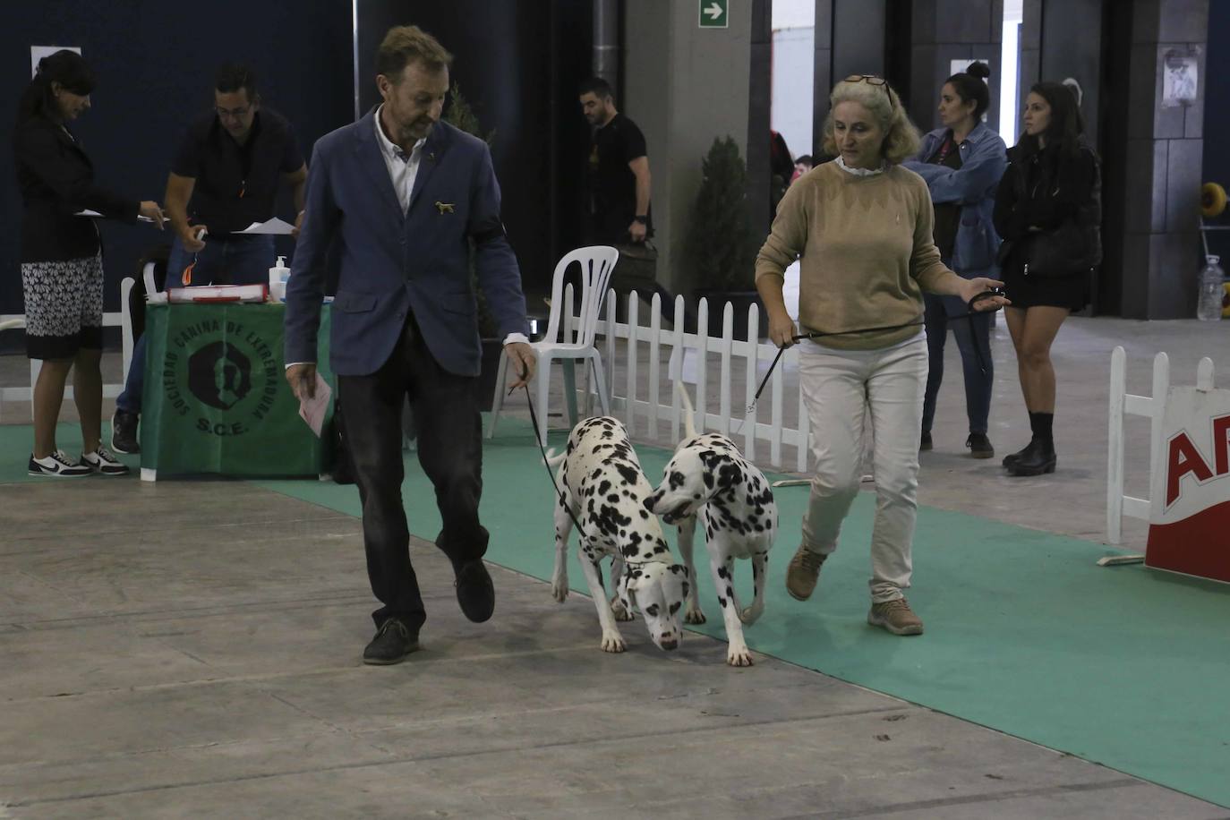 Fotos: Mérida acoge una exposición nacional canina