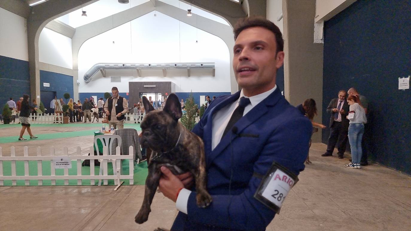 Fotos: Mérida acoge una exposición nacional canina