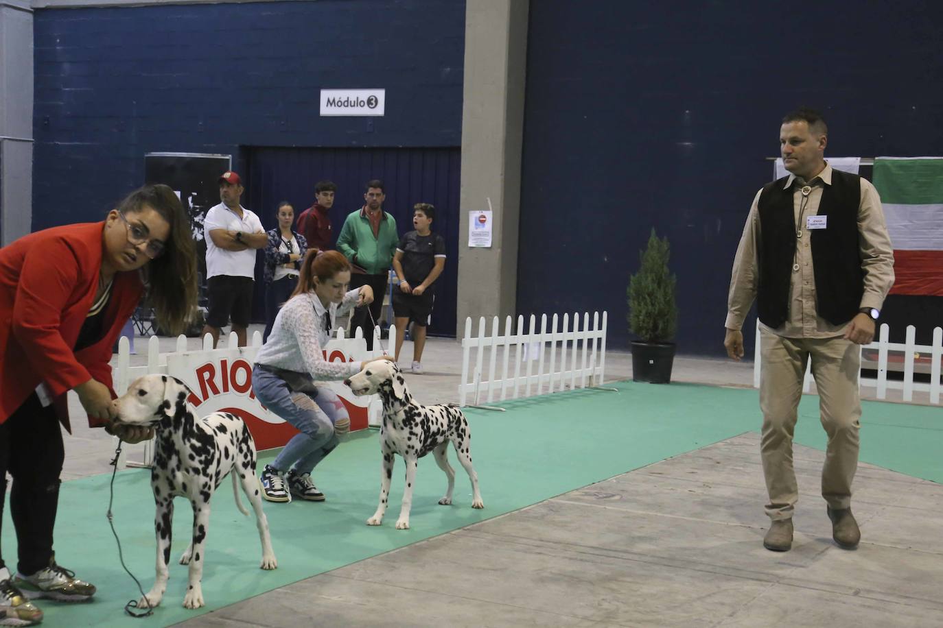Fotos: Mérida acoge una exposición nacional canina