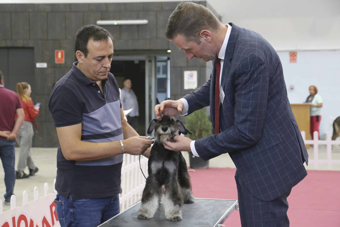 Fotos: Mérida acoge una exposición nacional canina