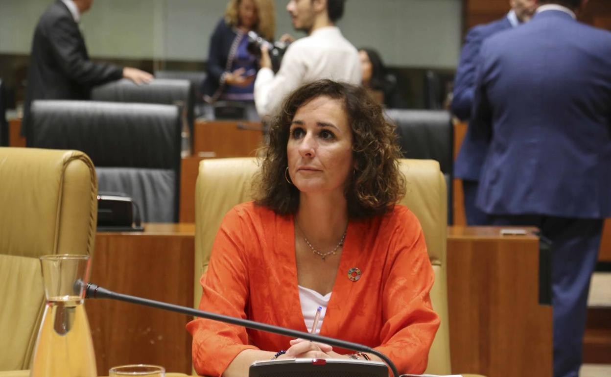 La consejera Olga García, durante el pleno en la Asamblea de este viernes. 