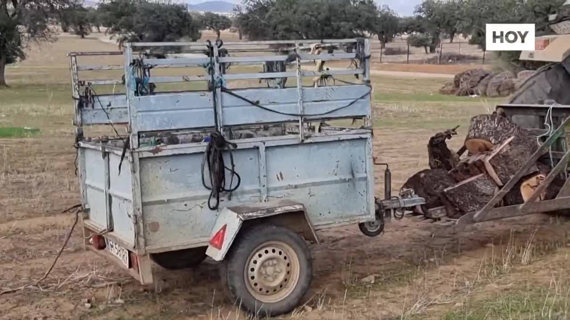 Los leñadores abren la  campaña con mejores precios