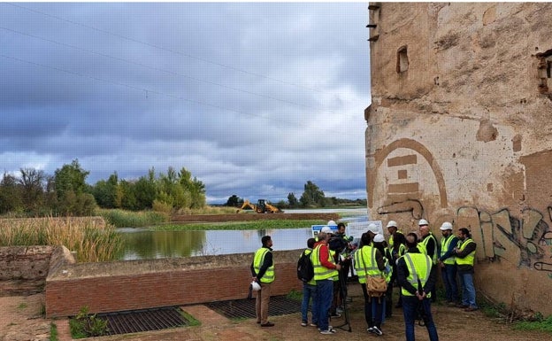 La CHG empieza la lucha contra el nenúfar mexicano en la Pesquera de Badajoz