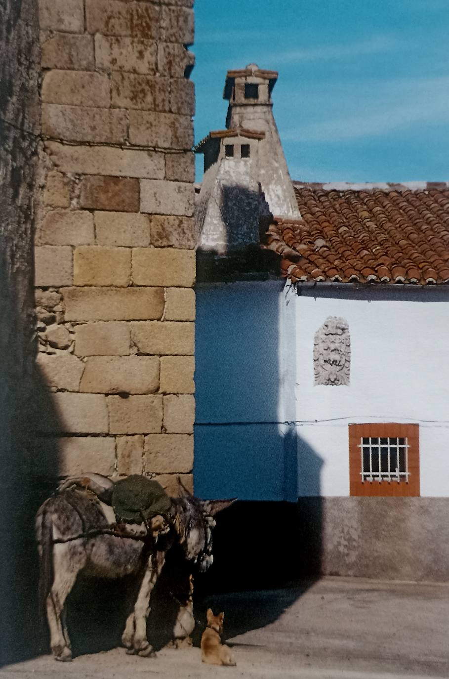 Albalá tenía en el año 1960 3.616 habitantes, ahora son 681 vecinos, cinco veces menos.