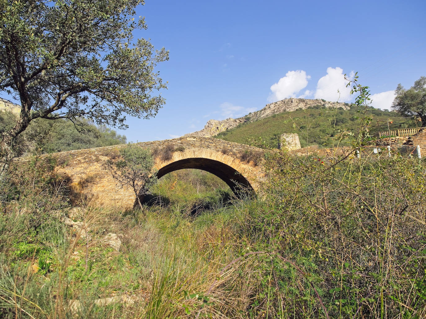 Fotos: Entrega del premio al Mejor Sendero Homologado de España