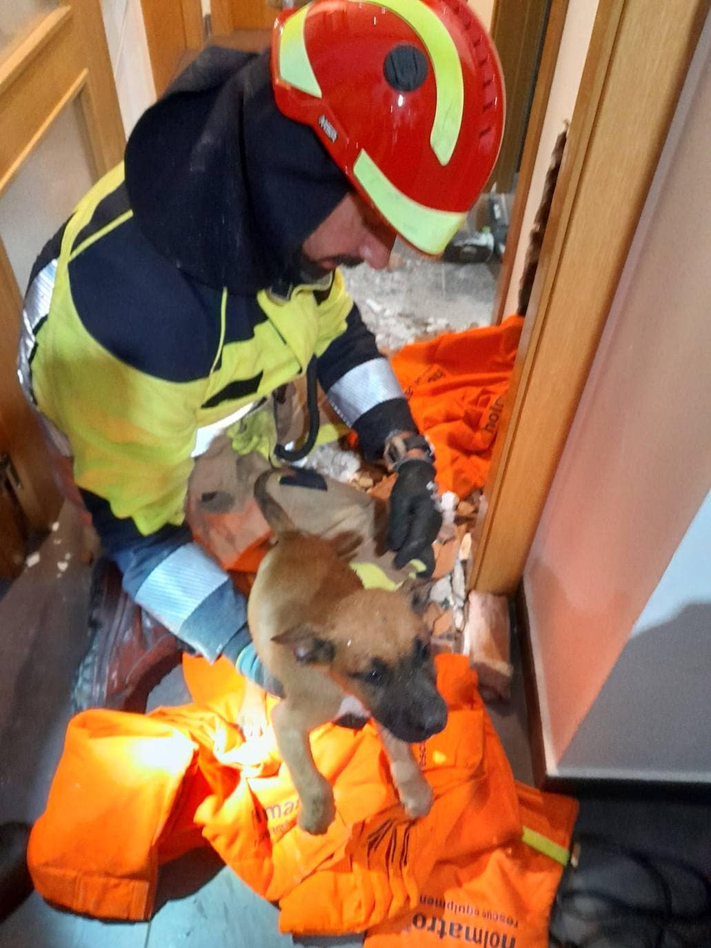 Fotos: Así fue el rescate del perro que se precipitó por una canalización