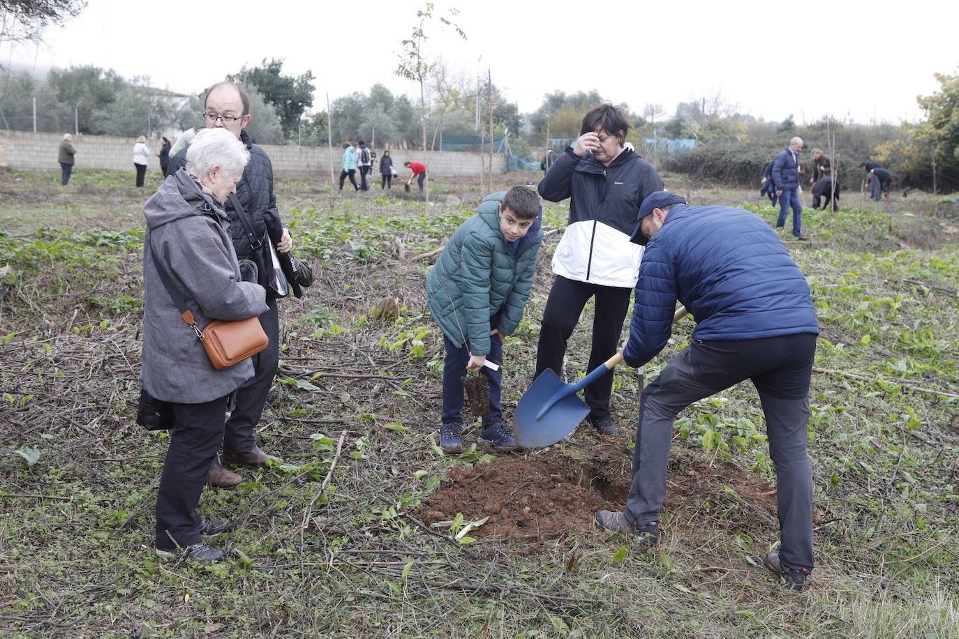 Fotos: Plantación de 38 olmos resistente a la grafiosis en la &#039;Ribera de la comunicación&#039;