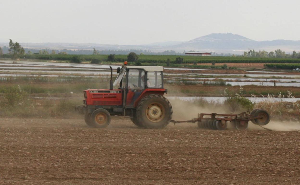 Más productividad sostenible