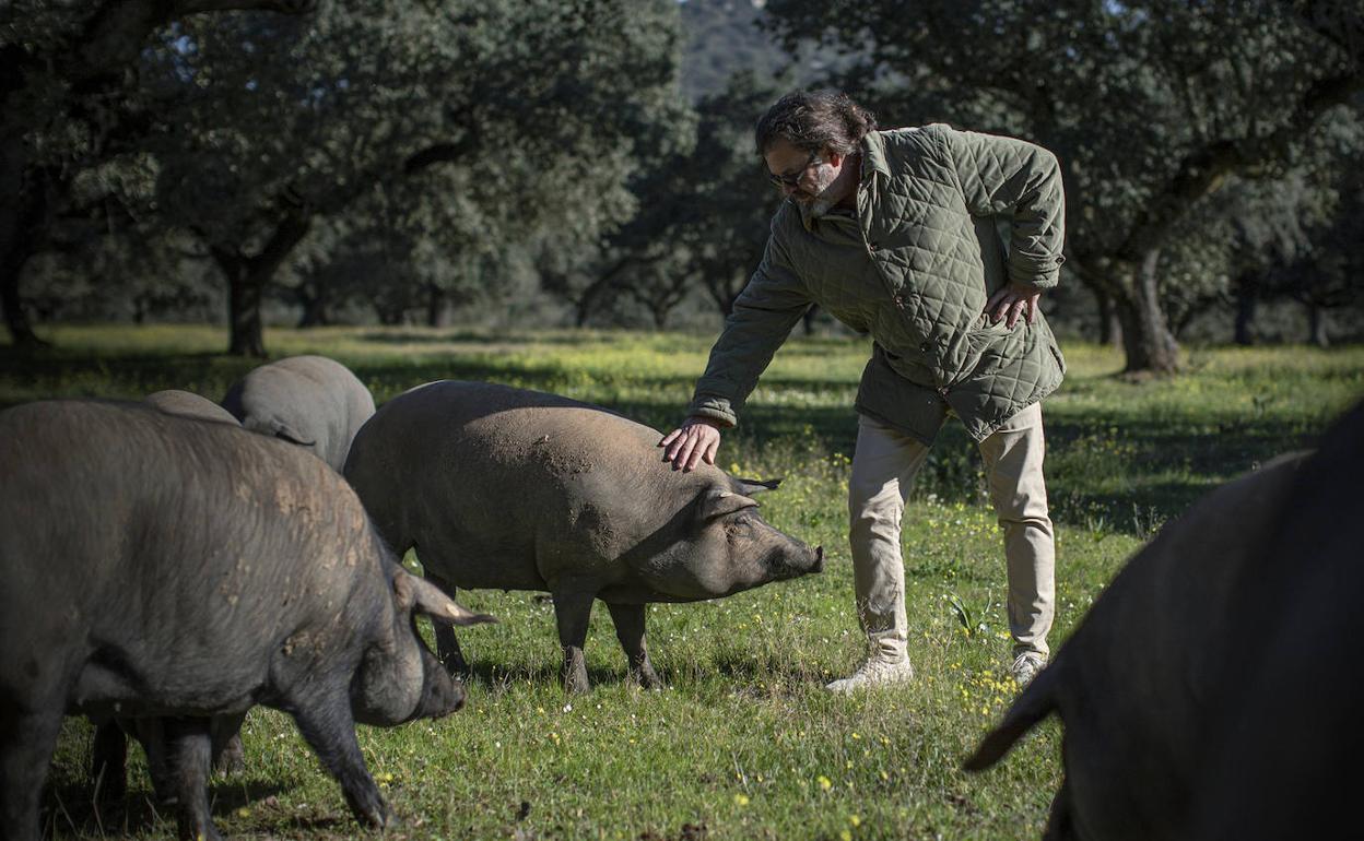 Cómo pujar por un jamón ibérico de 16 kilos por una causa solidaria