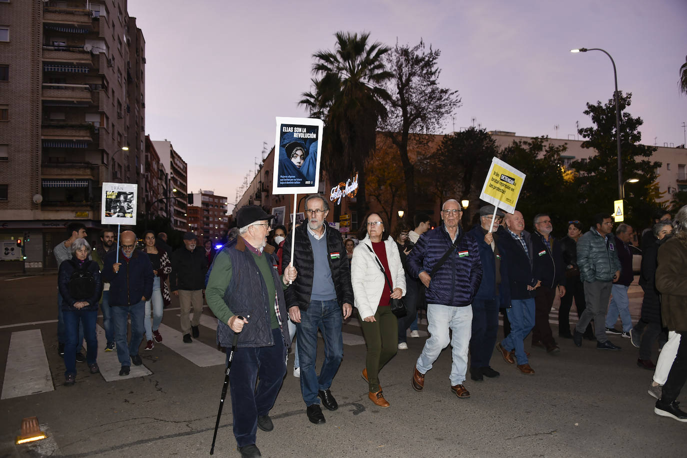 Manifestación del 25N en Badajoz. 