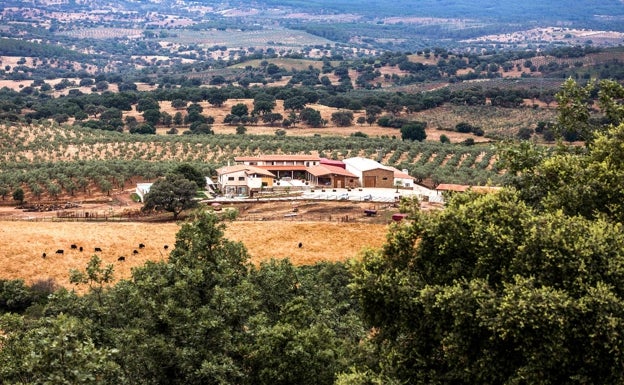 Hotel y restaurante Hábitat Cigüeña Negra, en Valverde del Fresno, de cuatro estrellas.