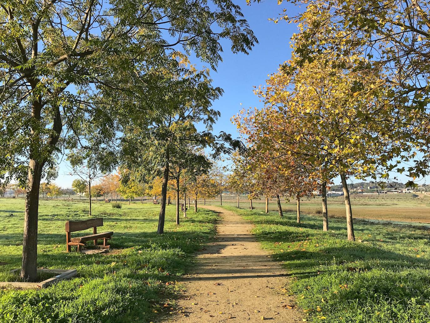 El paseo en Casar de Cáceres. 