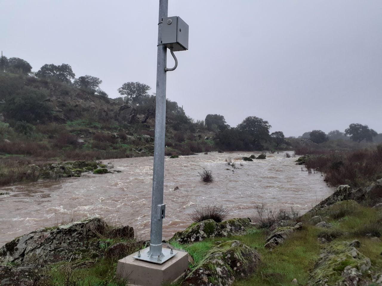 Arroyo Grande de Logrosán. 