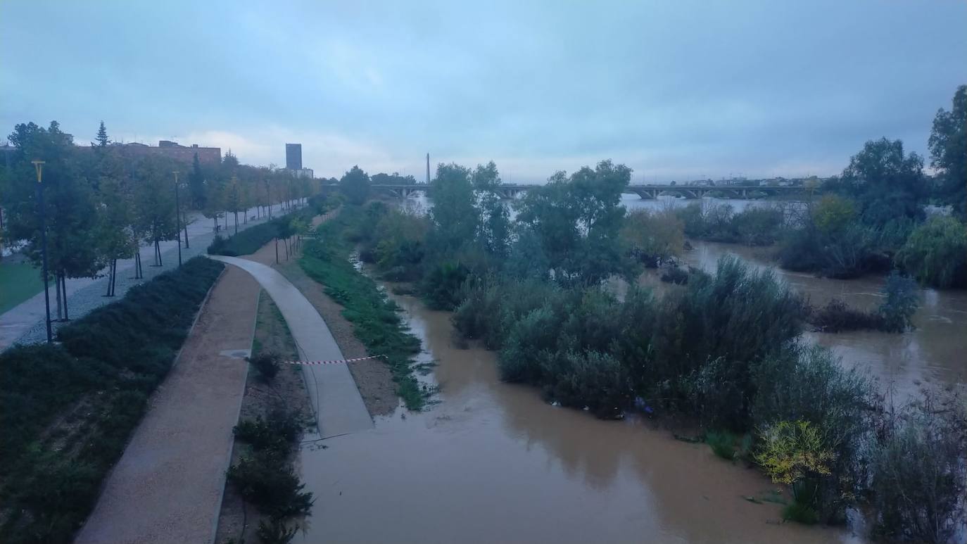 Nivel del Guadiana en Badajoz. Margen izquierda del río. 