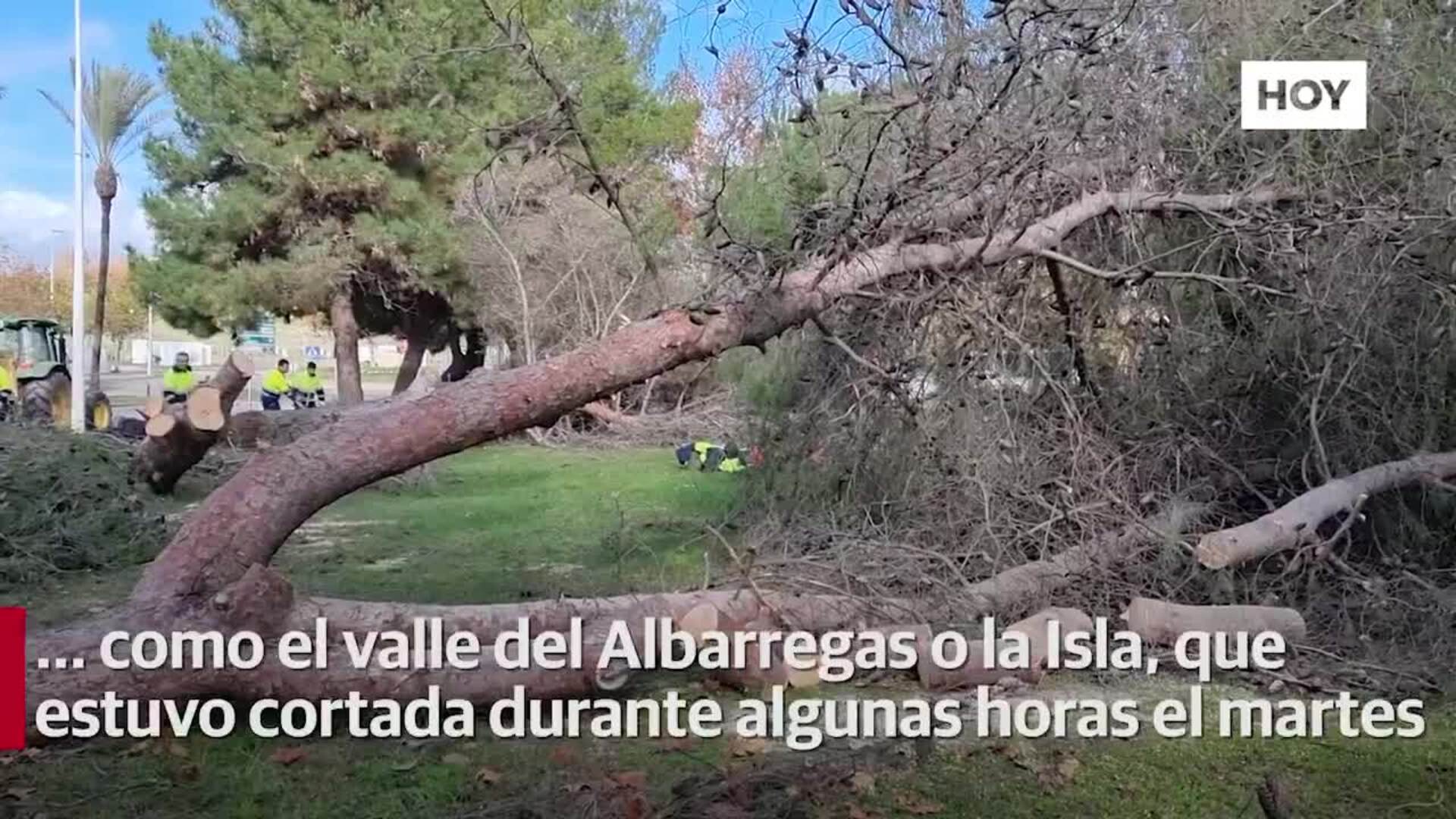 El Ayuntamiento revisa los parques tras el temporal