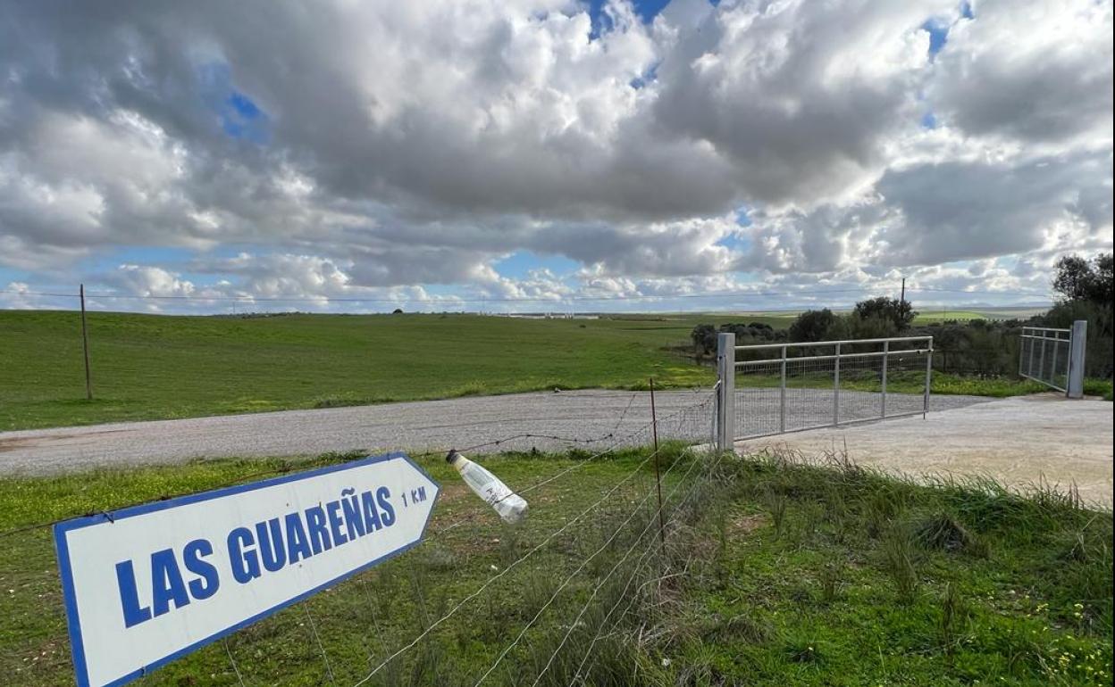 Acceso a la finca Las Guareñas, en Valencia de las Torres.