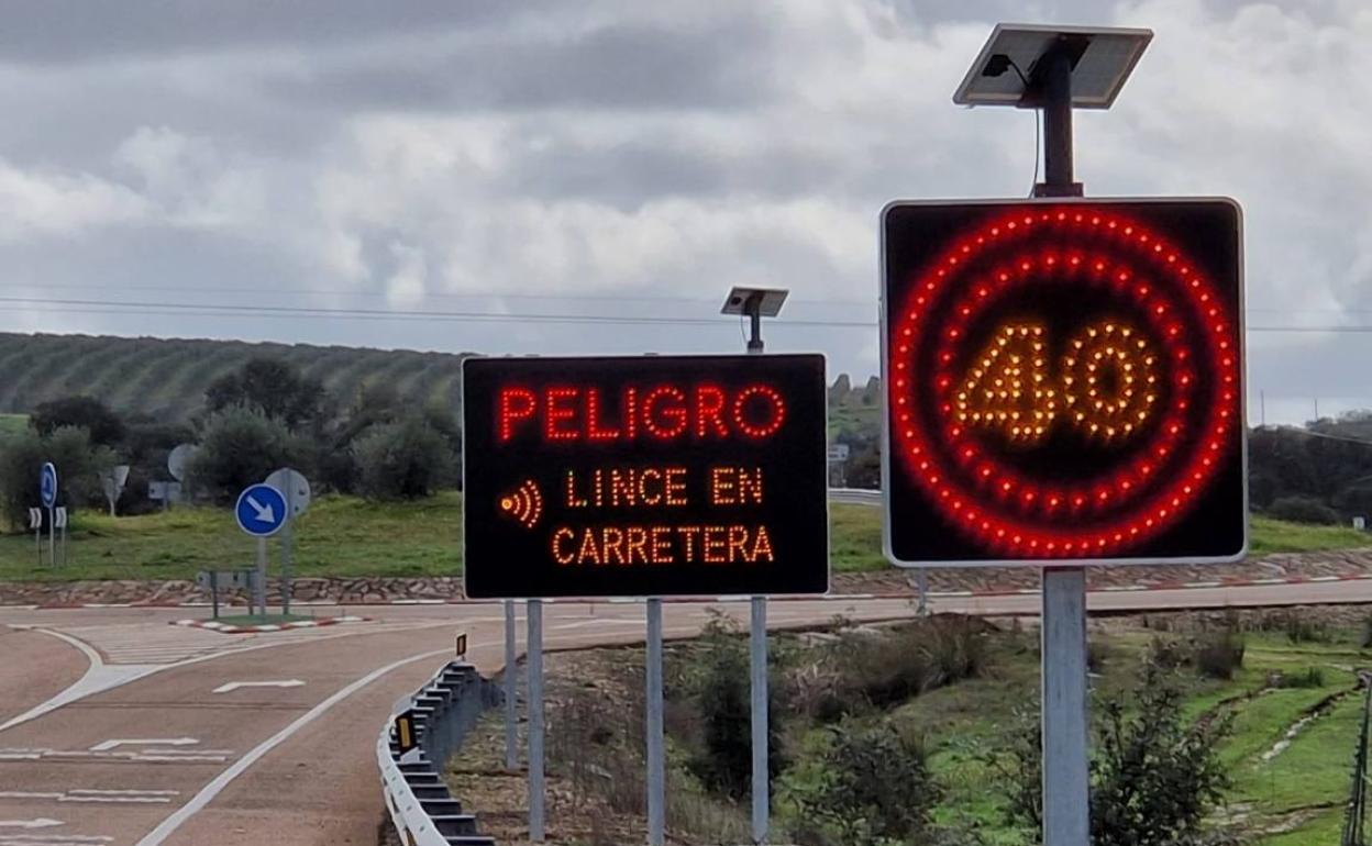 Señalización en el enlace entre la N-630 y la A-66 (km 613 de la A-66) en las inmediaciones de Mirandilla (Badajoz). 