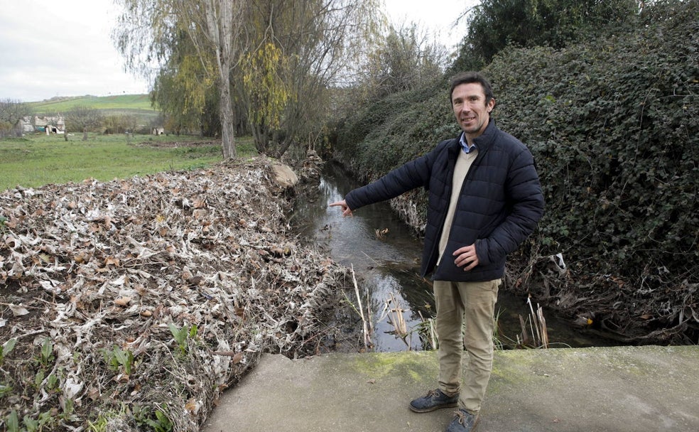 Pedro Moreno, presidente de los Amigos de la Ribera del Marco, muestra las toallitas acumuladas en las orillas. 