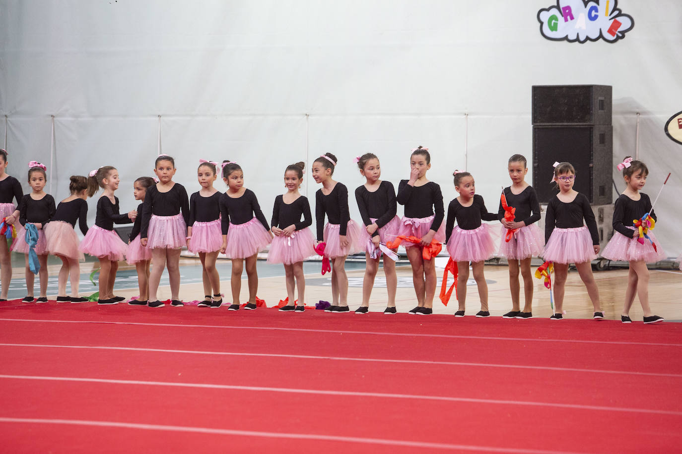 Gimnastrada de Cáceres, en imágenes