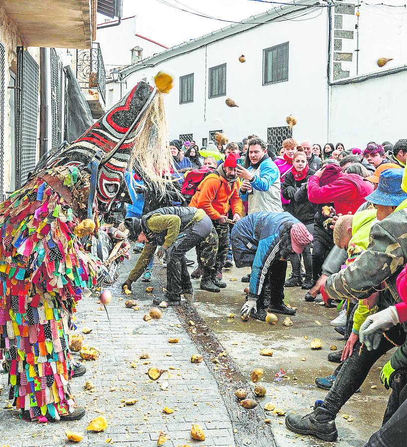 Lluvia de nabos contra el Jarramplas.