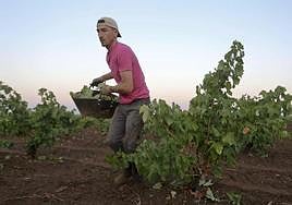 La manifestación está prevista para el 31 de marzo en Iberovinac.