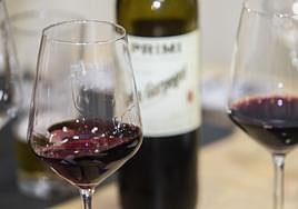 Comienza en Almendralejo el 'Wine Innovation Summit'