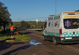 Una ambulancia accede al recinto del ecoparque de Badajoz, donde se produjo un accidente mortal en el mes de enero.