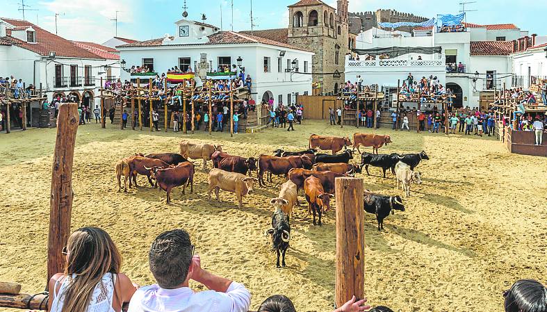 Vista de los espectadores desde las estructuras de madera instaladas.