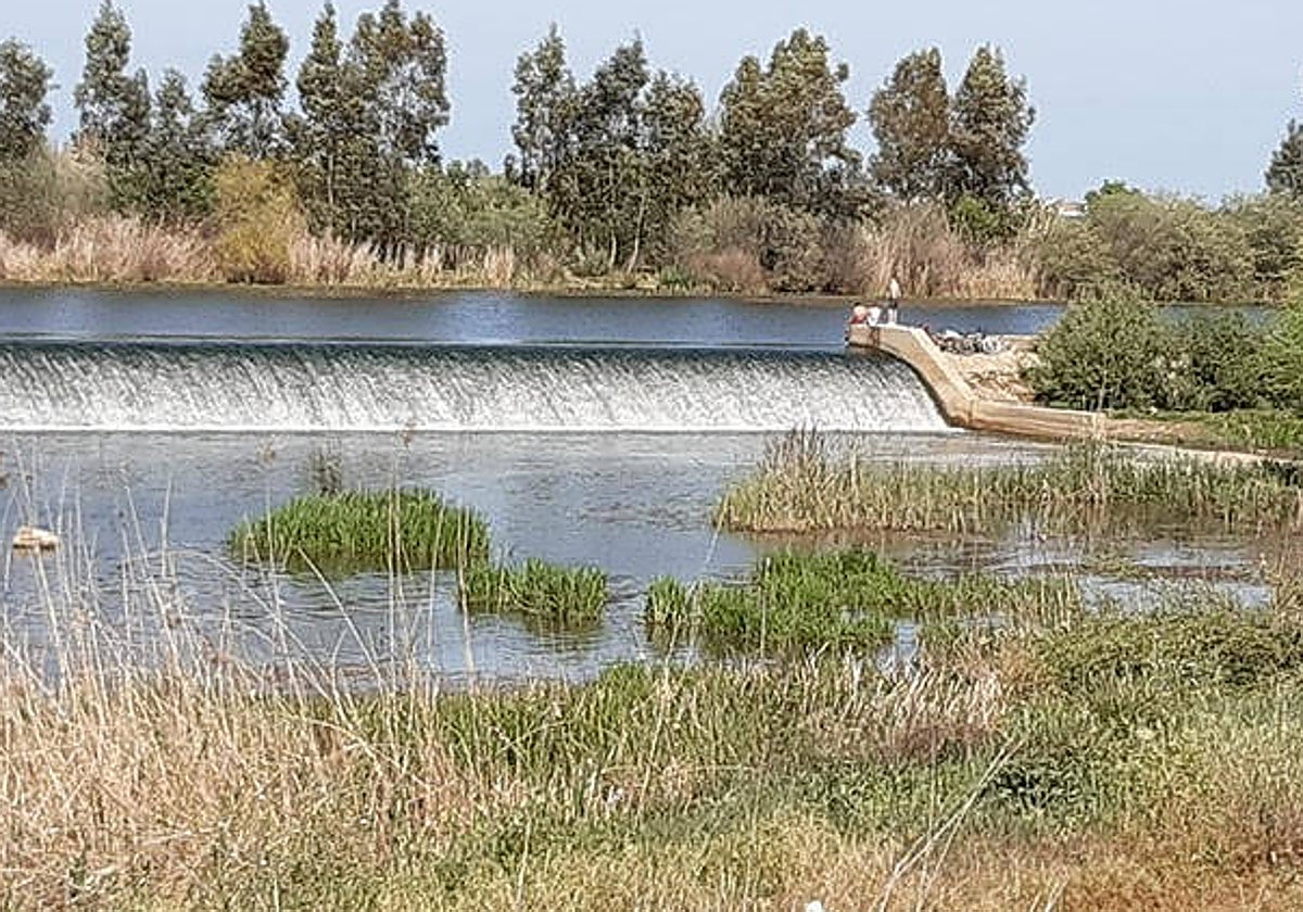 Bañistas en el azud de La Pesquera, en Badajoz.