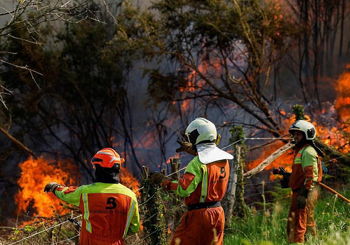 Los incendios interpelan