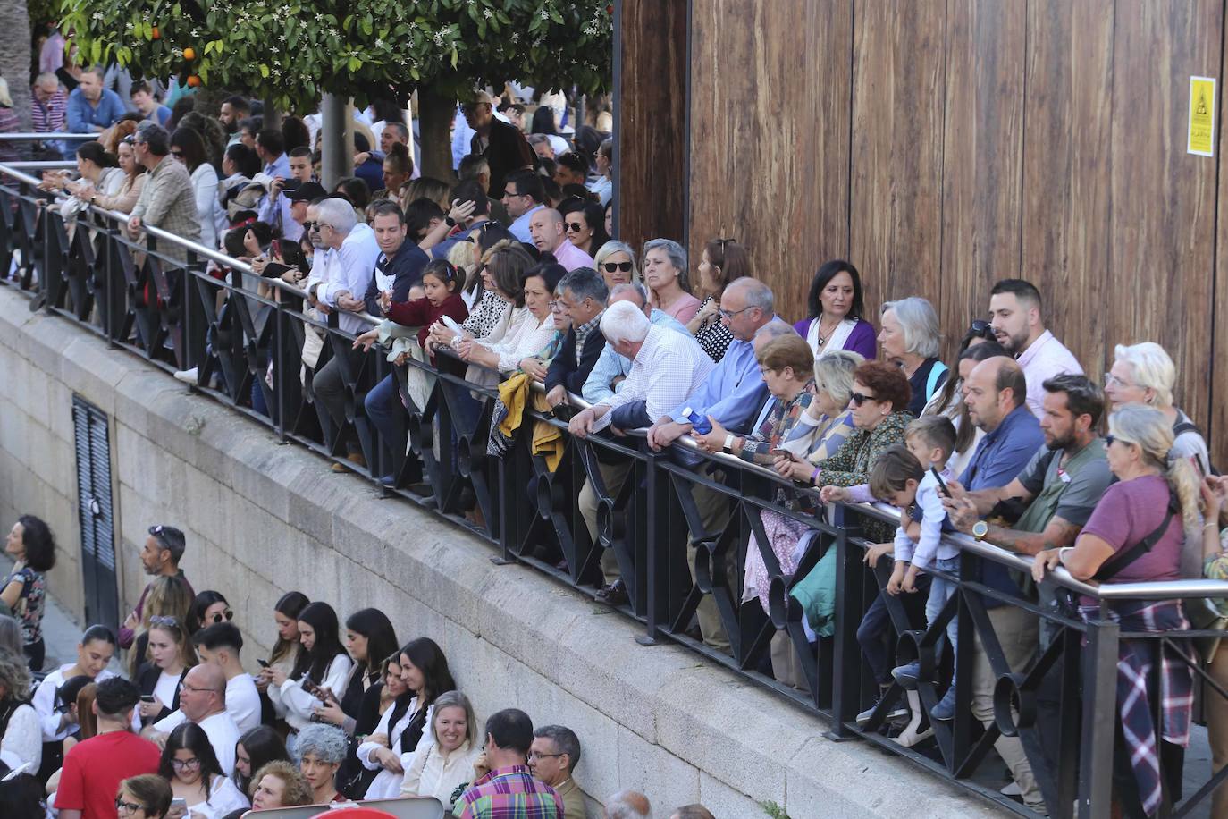 El Domingo de Ramos en Mérida, en imágenes