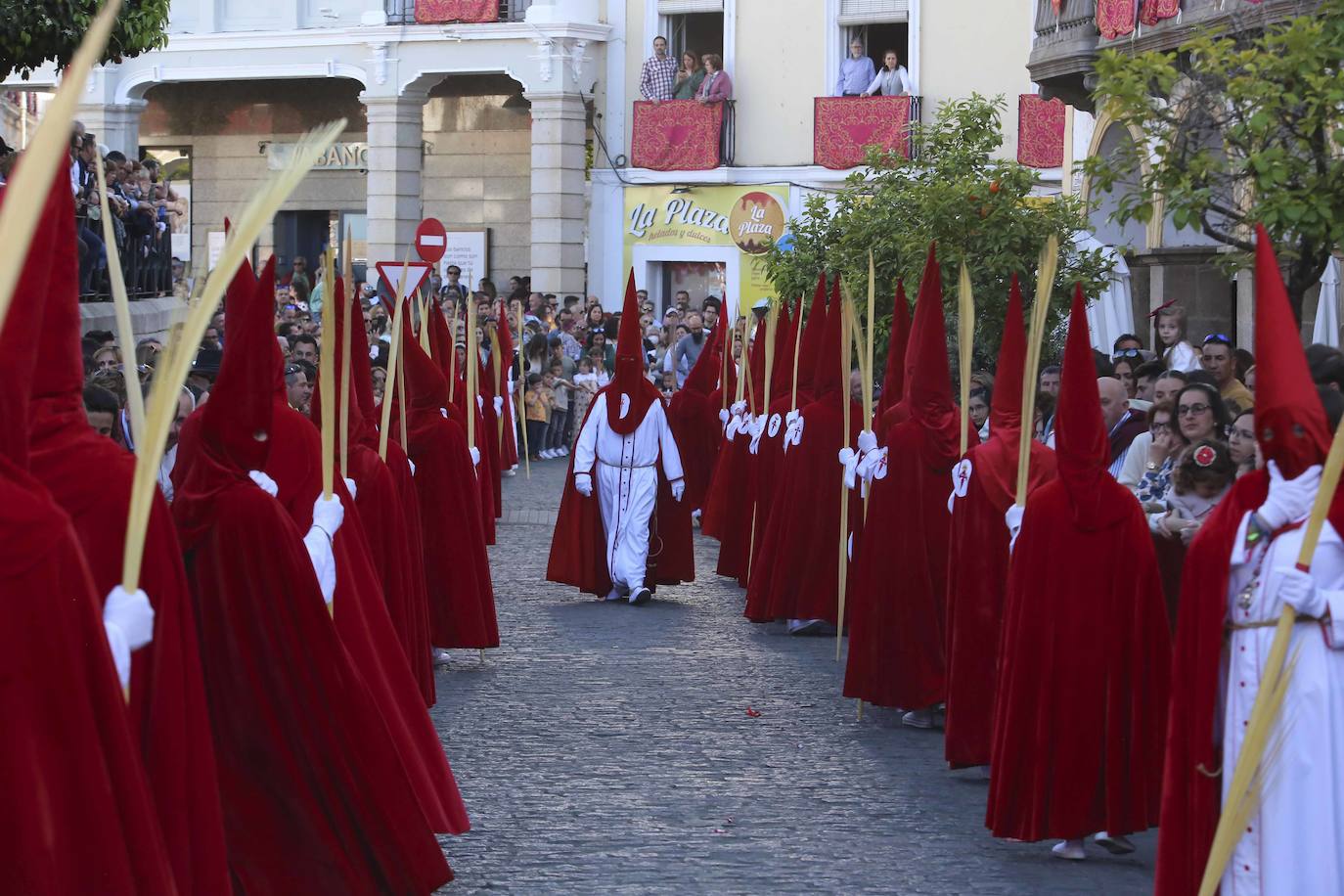 El Domingo de Ramos en Mérida, en imágenes