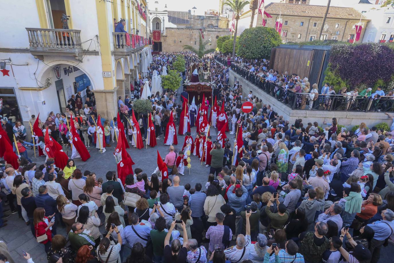 El Domingo de Ramos en Mérida, en imágenes