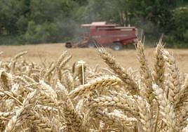 Los más afectados, los regantes del Canal de Orellana.