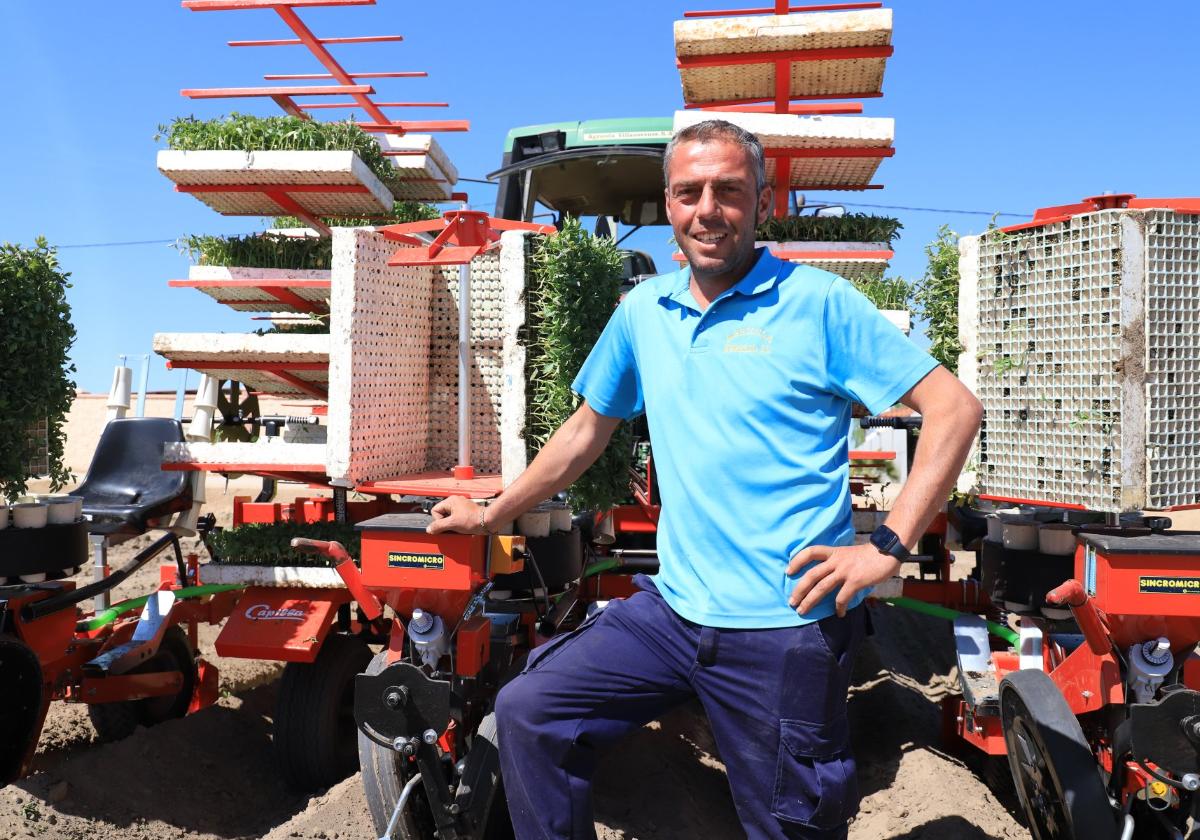 Julio Horrillo junto a las plantas de tomate que sembrará este año.