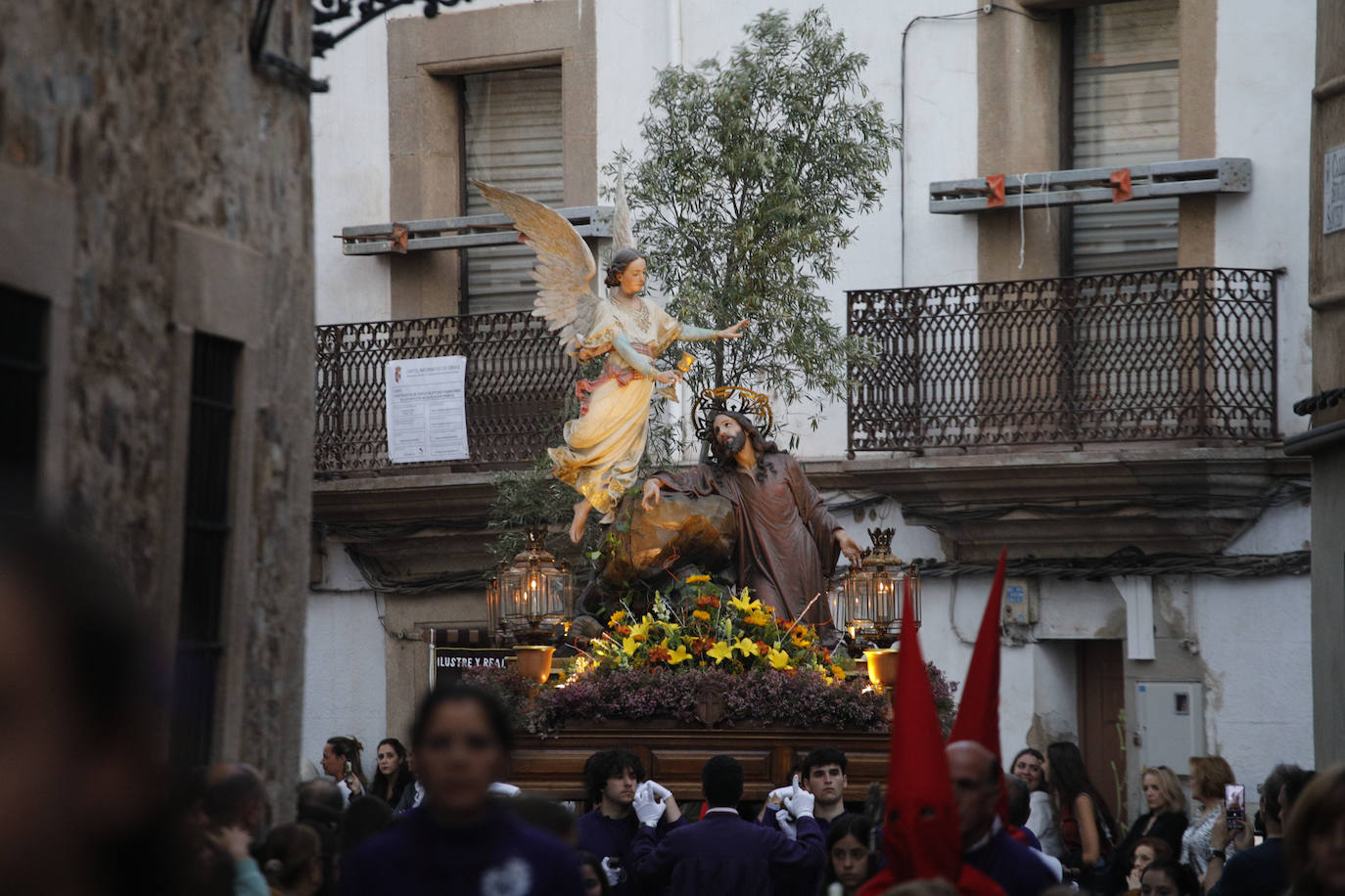 Pasos: Oración en el Huerto, Beso de Judas, La Flagelación, Cristo de la Salud y de la Expiración y Dolorosa de la Cruz Cofradía: Ilustre y Real Cofradía de la Santa y Vera Cruz