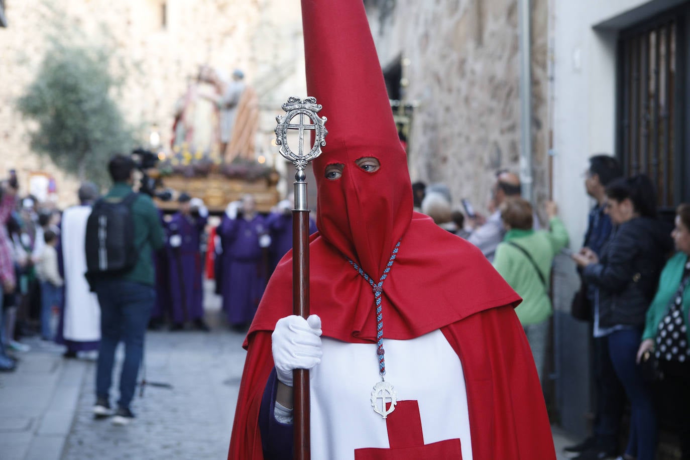 Pasos: Oración en el Huerto, Beso de Judas, La Flagelación, Cristo de la Salud y de la Expiración y Dolorosa de la Cruz Cofradía: Ilustre y Real Cofradía de la Santa y Vera Cruz